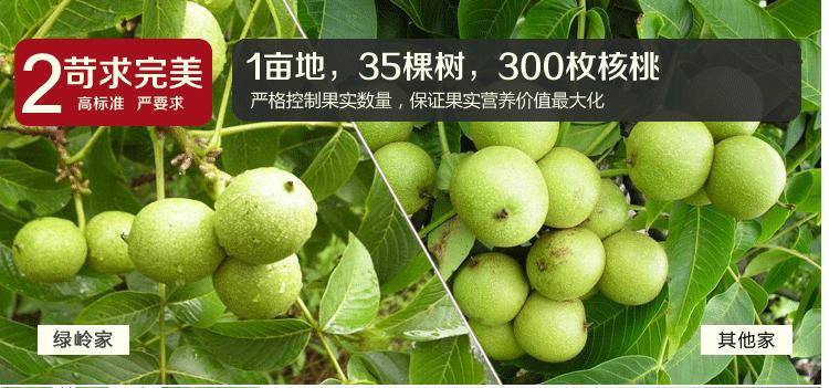 展會專題|至1998年林業部計劃司副司長 展會專題|至1998年林業部計劃司副司長