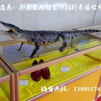 合肥展柜|合肥貨架|合肥柜臺|南京艾雨特裝飾材料