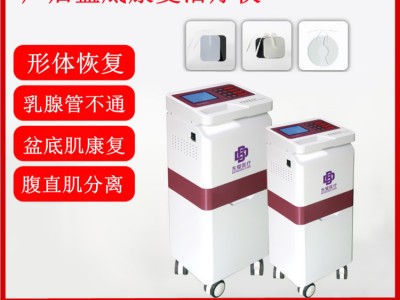 產(chǎn)后婦科治療儀 河南東璧醫(yī)療設(shè)備有限公司