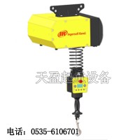 英格索蘭智能提升機可定制,EIW066120智能提升機