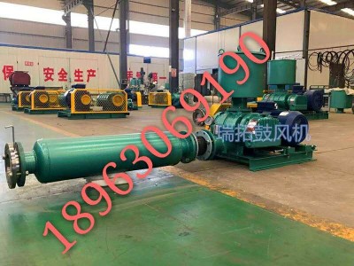 21年生產(chǎn)經(jīng)驗羅茨鼓風機污水處理設備