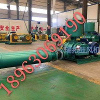 21年生產(chǎn)經(jīng)驗羅茨鼓風機污水處理設備