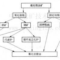 鞏義鉑思特從難選含碳金礦石中回收黃金，金礦石選冶工藝流程