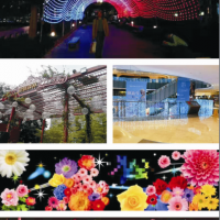 LED彩燈樹燈煙花燈戶外防水裝飾樹燈七彩燈帶商場(chǎng)庭園路邊樹燈