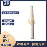 生產替代派瑞燃氣聚結濾芯FG-36-A-SCW