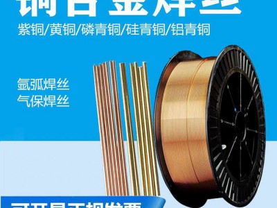 S201紫銅焊絲SCu1898銅焊絲ERCu銅焊絲