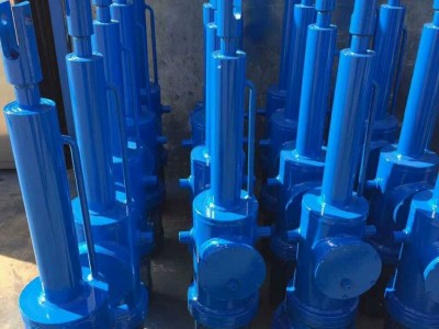 DYTZ6000-1800/50電液推桿